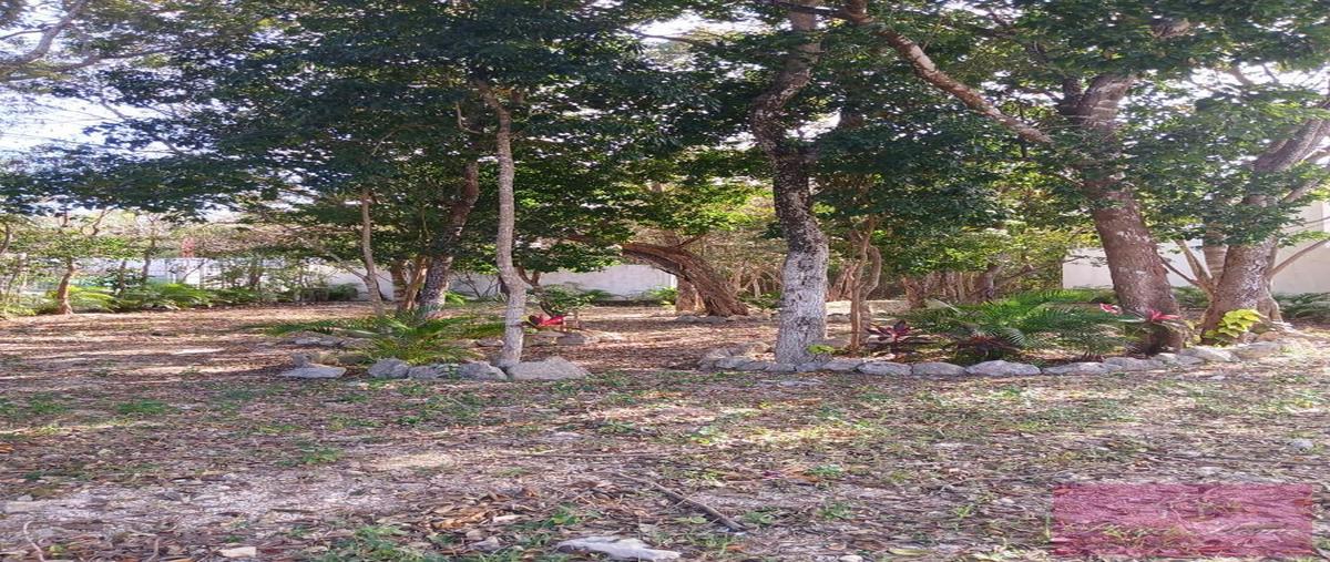 Foto de terreno habitacional en venta en  , vela mar, solidaridad, quintana roo, 0 No. 05