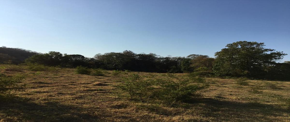 Foto de terreno habitacional en venta en  , veladeros de los otates, manzanillo, colima, 7158440 No. 03