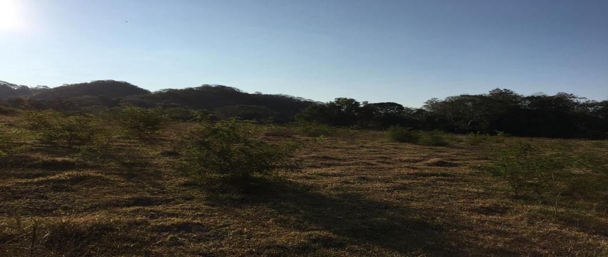Foto de terreno habitacional en venta en  , veladeros de los otates, manzanillo, colima, 7158440 No. 04
