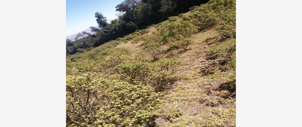 Foto de terreno habitacional en venta en velasco 1, velasco, omitlán de juárez, hidalgo, 0 No. 05