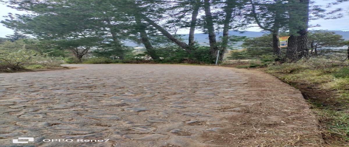 Foto de terreno habitacional en venta en  , velasco, omitlán de juárez, hidalgo, 27696581 No. 03