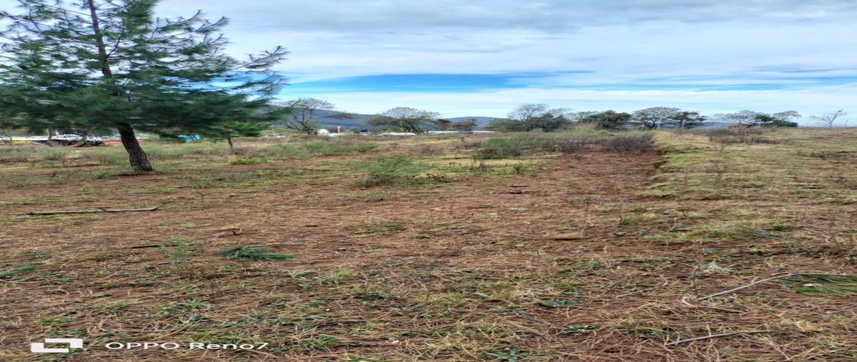 Foto de terreno habitacional en venta en  , velasco, omitlán de juárez, hidalgo, 27696581 No. 05