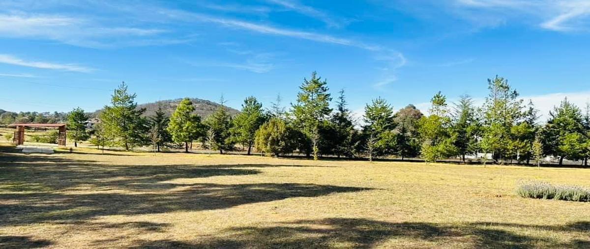 Foto de terreno habitacional en venta en  , velasco, omitlán de juárez, hidalgo, 0 No. 04