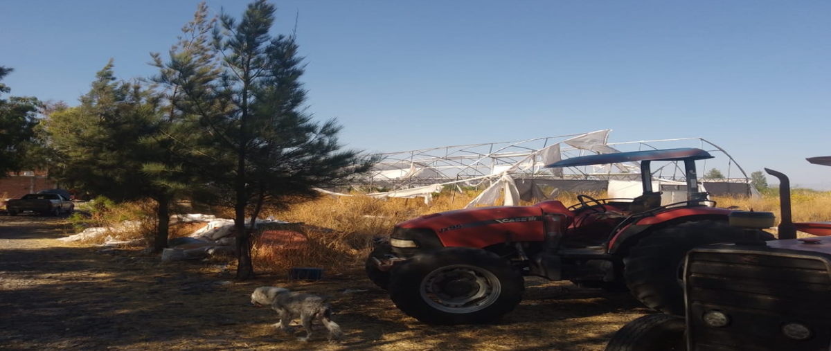 Foto de rancho en venta en venado de san lorenzo , haciendas de romita, romita, guanajuato, 0 No. 03