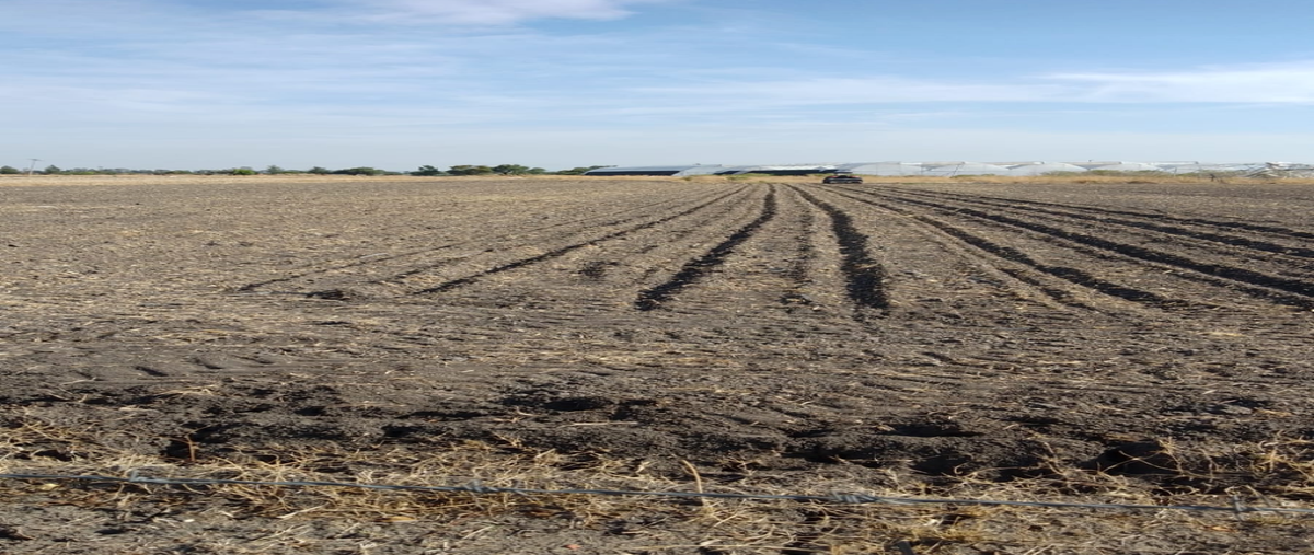 Foto de rancho en venta en venado de san lorenzo , haciendas de romita, romita, guanajuato, 0 No. 04