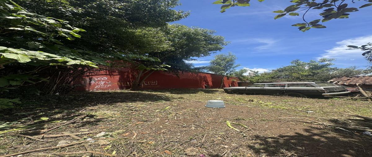 Foto de terreno habitacional en venta en venezuela , de mexicanos, san cristóbal de las casas, chiapas, 30020414 No. 05