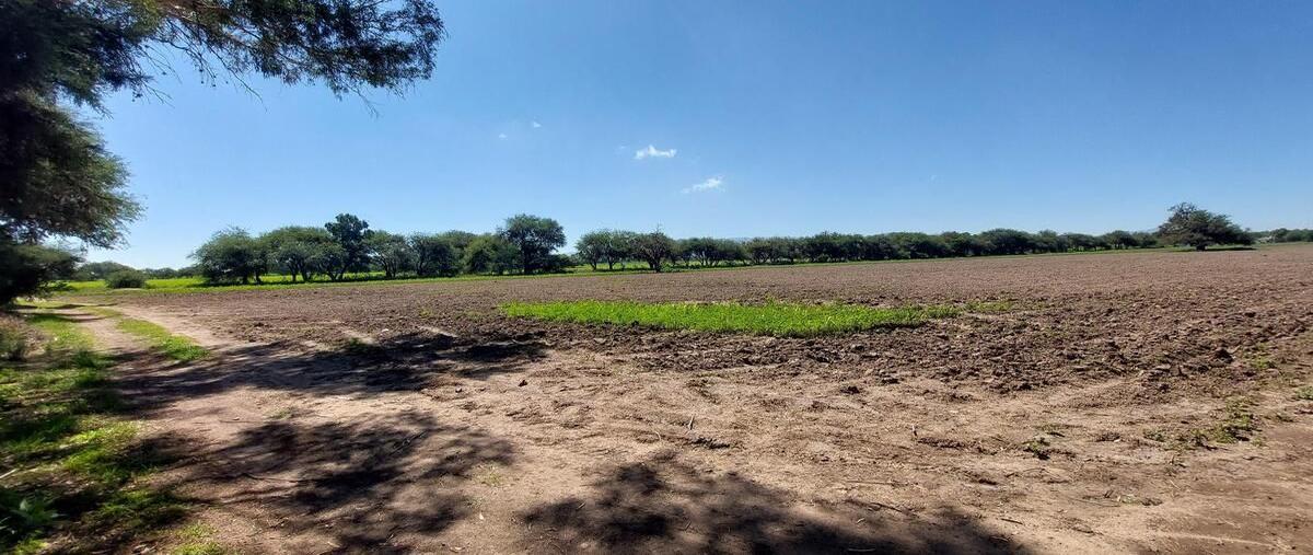 Foto de terreno habitacional en venta 7 hectáreas planas con servicios a 10 min del parque ind. opción , la alameda, san josé iturbide, guanajuato, 28401539 foto 01 Foto de terreno habitacional en venta en venta 7 hectáreas planas con servicios a 10 min del parque ind. opción , la alameda, san josé iturbide, guanajuato, 28401539 No. 01