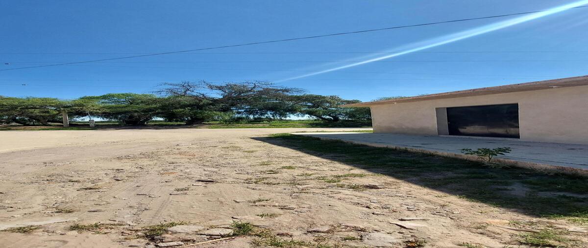 Foto de terreno habitacional en venta 7 hectáreas planas con servicios a 10 min del parque ind. opción , la alameda, san josé iturbide, guanajuato, 28401539 foto 04 Foto de terreno habitacional en venta en venta 7 hectáreas planas con servicios a 10 min del parque ind. opción , la alameda, san josé iturbide, guanajuato, 28401539 No. 04