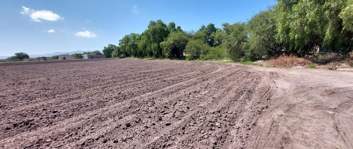 Foto de terreno habitacional en venta 7 hectáreas planas con servicios a 10 min del parque ind. opción , la alameda, san josé iturbide, guanajuato, 28401539 foto 05 Foto de terreno habitacional en venta en venta 7 hectáreas planas con servicios a 10 min del parque ind. opción , la alameda, san josé iturbide, guanajuato, 28401539 No. 05