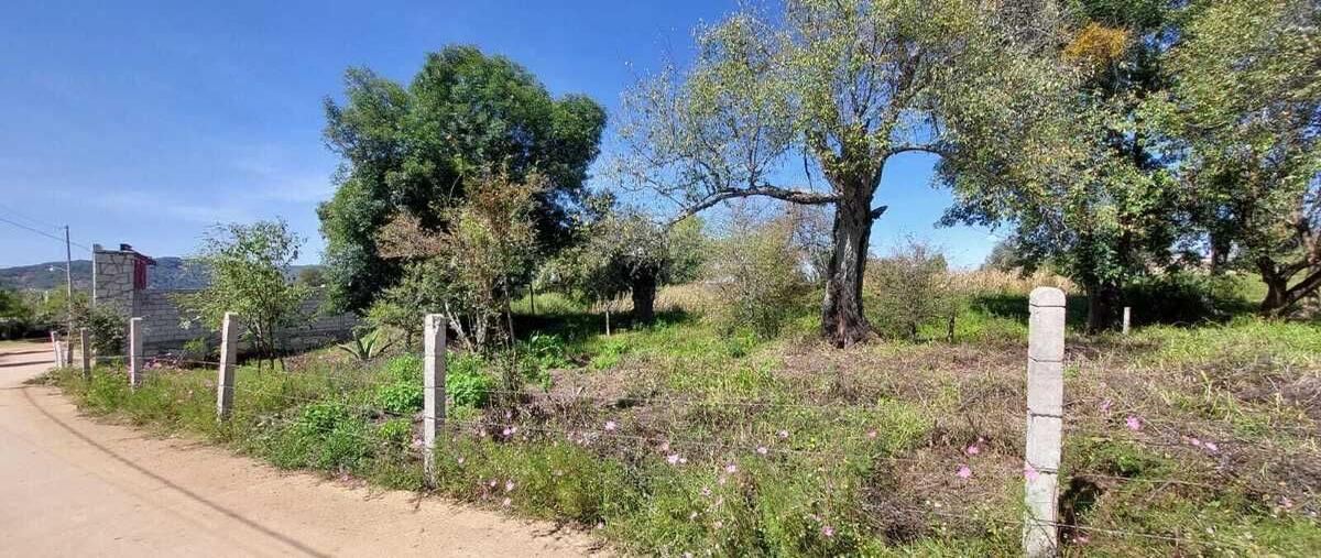 Foto de terreno habitacional en venta de guadalupe , los tapancos, omitlán de juárez, hidalgo, 0 foto 01 Foto de terreno habitacional en venta en venta de guadalupe , los tapancos, omitlán de juárez, hidalgo, 0 No. 01