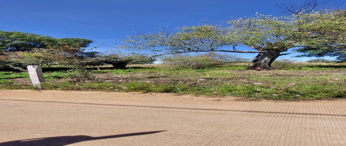 Foto de terreno habitacional en venta de guadalupe , los tapancos, omitlán de juárez, hidalgo, 0 foto 03 Foto de terreno habitacional en venta en venta de guadalupe , los tapancos, omitlán de juárez, hidalgo, 0 No. 03