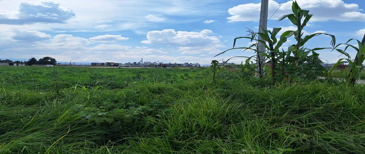 Foto de terreno habitacional en venta de terreno en san mateo atenco , san francisco, san mateo atenco, méxico, 27412056 foto 05 Foto de terreno habitacional en venta en venta de terreno en san mateo atenco , san francisco, san mateo atenco, méxico, 27412056 No. 05
