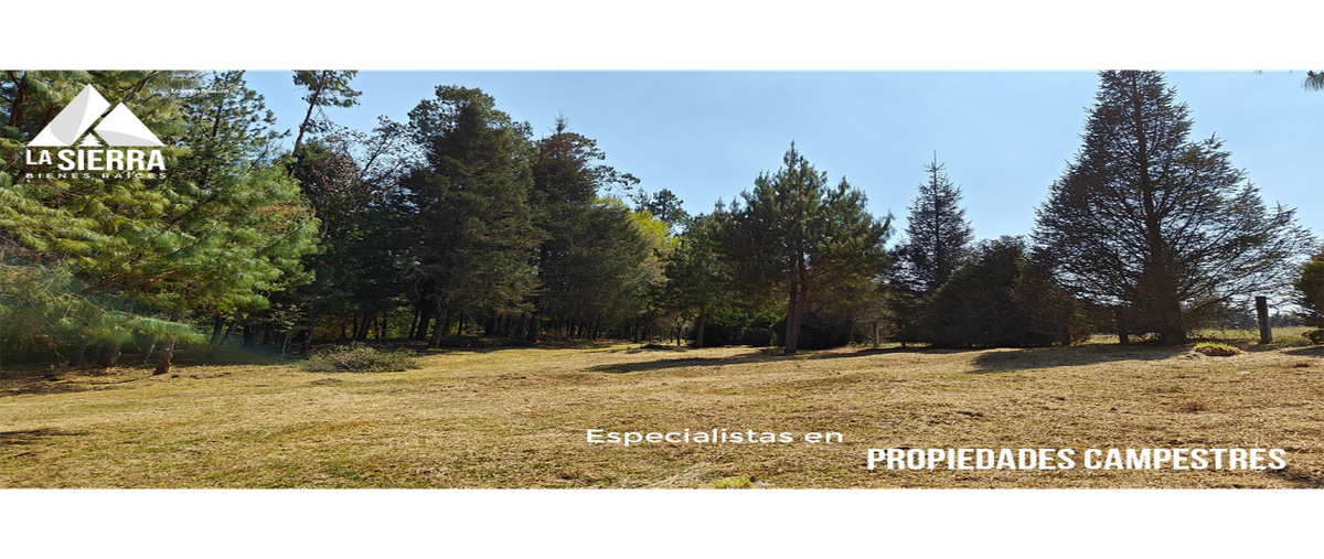 Foto de terreno habitacional en venta en  , venta grande, huauchinango, puebla, 0 No. 05