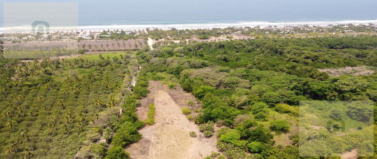 Foto de terreno habitacional en venta en  , ventanilla, santa maría colotepec, oaxaca, 0 No. 03