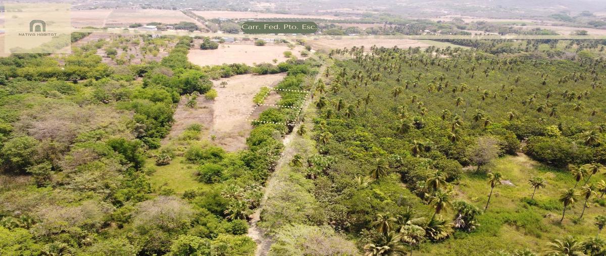 Foto de terreno habitacional en venta en  , ventanilla, santa maría colotepec, oaxaca, 0 No. 04