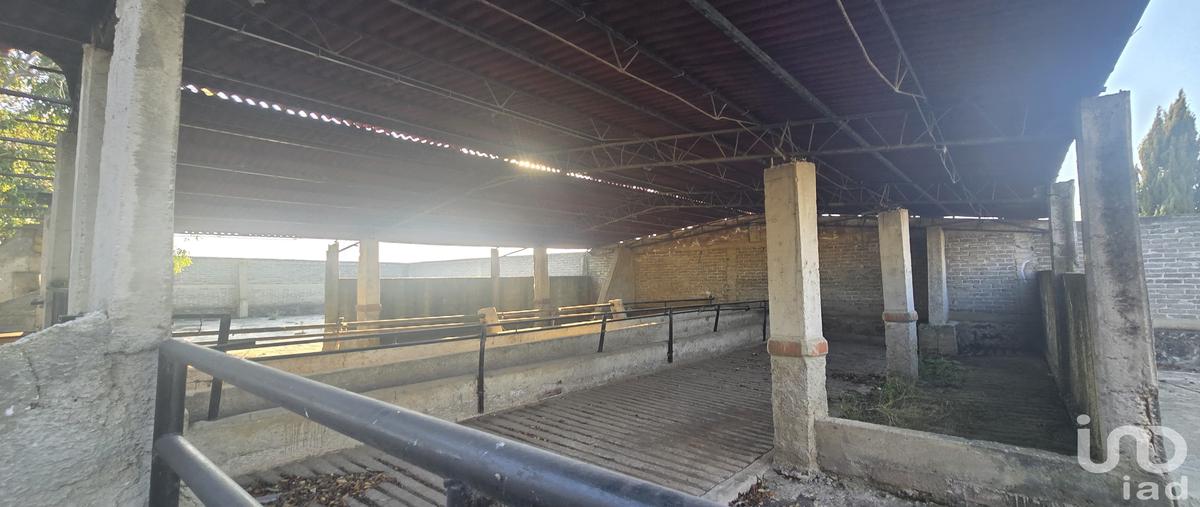 Foto de terreno habitacional en venta en venustiano carranza 100, san juan coxtocan, tenango del aire, méxico, 30649756 No. 05