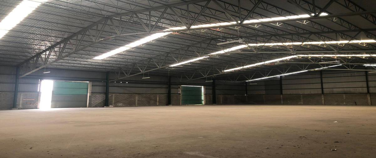 Foto de bodega en renta en  , venustiano carranza, altamira, tamaulipas, 0 No. 03