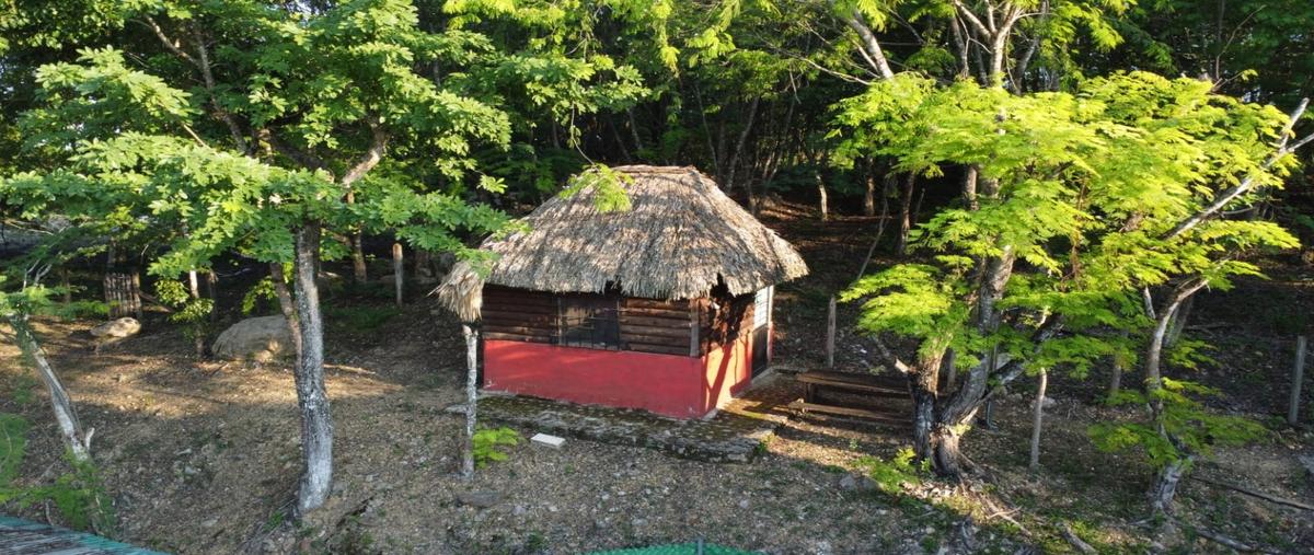 Foto de local en venta en  , venustiano carranza km. 67, champotón, campeche, 0 No. 04