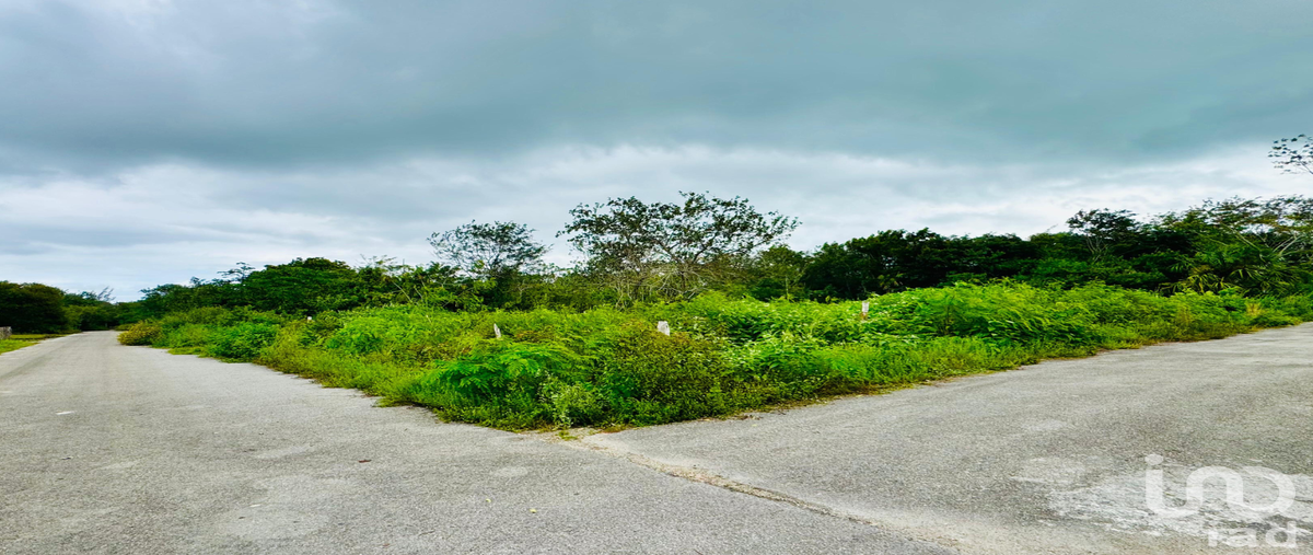 Foto de terreno habitacional en venta en venustiano carranza manzana 30, l-7 , raudales, othón p. blanco, quintana roo, 31727526 No. 03