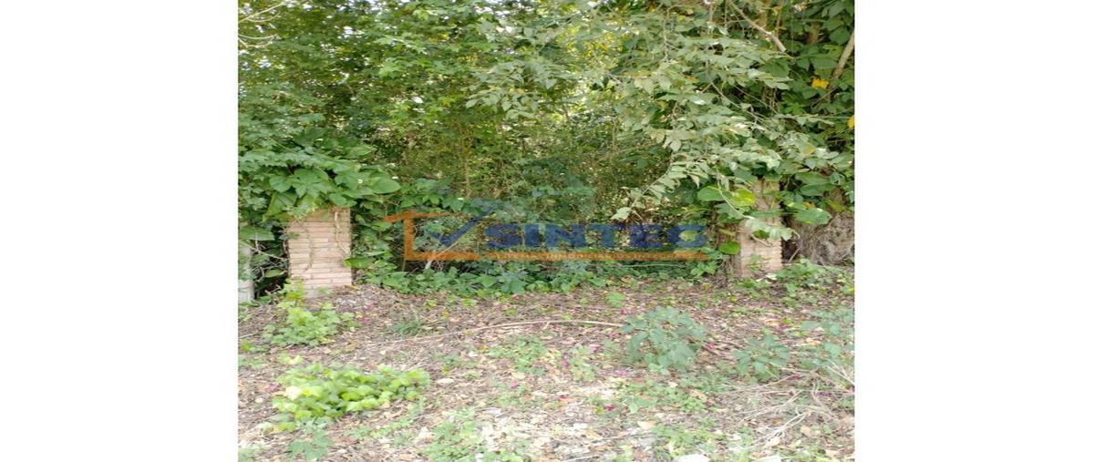 Foto de terreno habitacional en venta en  , venustiano carranza, puebla, puebla, 30229489 No. 04