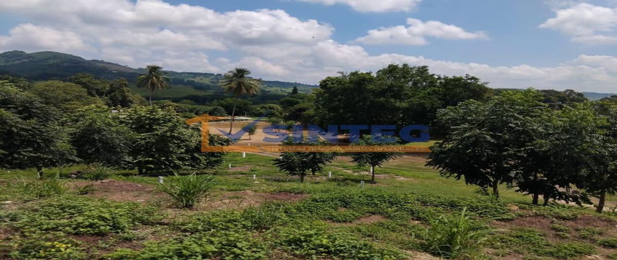 Foto de terreno habitacional en venta en  , venustiano carranza, puebla, puebla, 30229489 No. 05