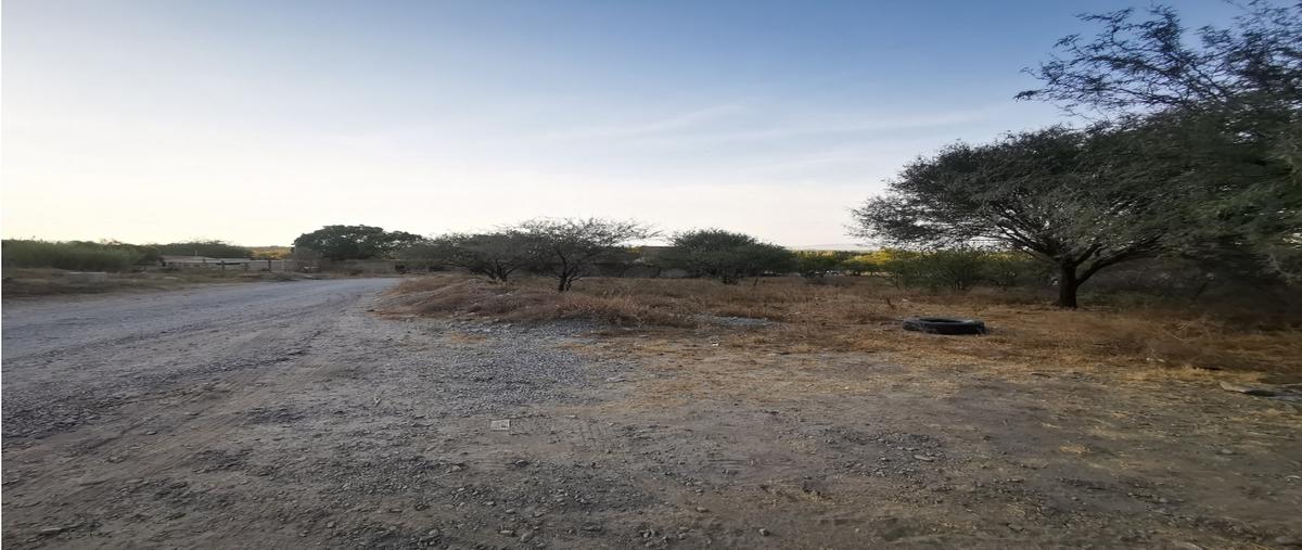 Foto de terreno habitacional en venta en  , venustiano carranza, venustiano carranza, michoacán de ocampo, 23760617 No. 05