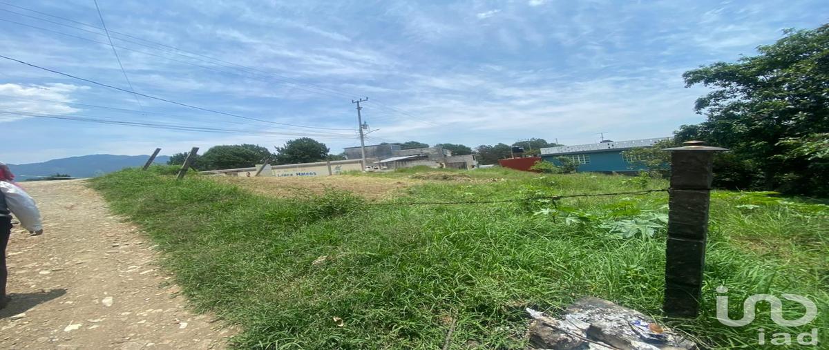 Foto de terreno habitacional en venta en veracruz , 14 de octubre, huauchinango, puebla, 31443883 No. 03