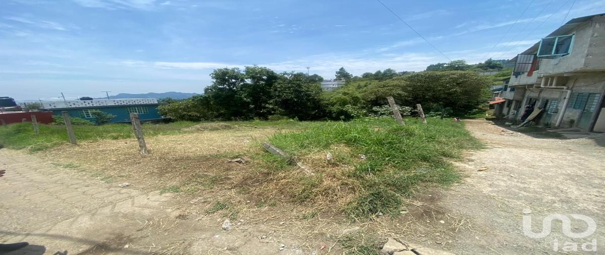 Foto de terreno habitacional en venta en veracruz , 14 de octubre, huauchinango, puebla, 31443883 No. 05