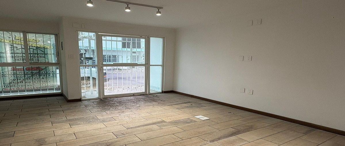 Foto de local en renta en  , veracruz centro, veracruz, veracruz de ignacio de la llave, 0 No. 05