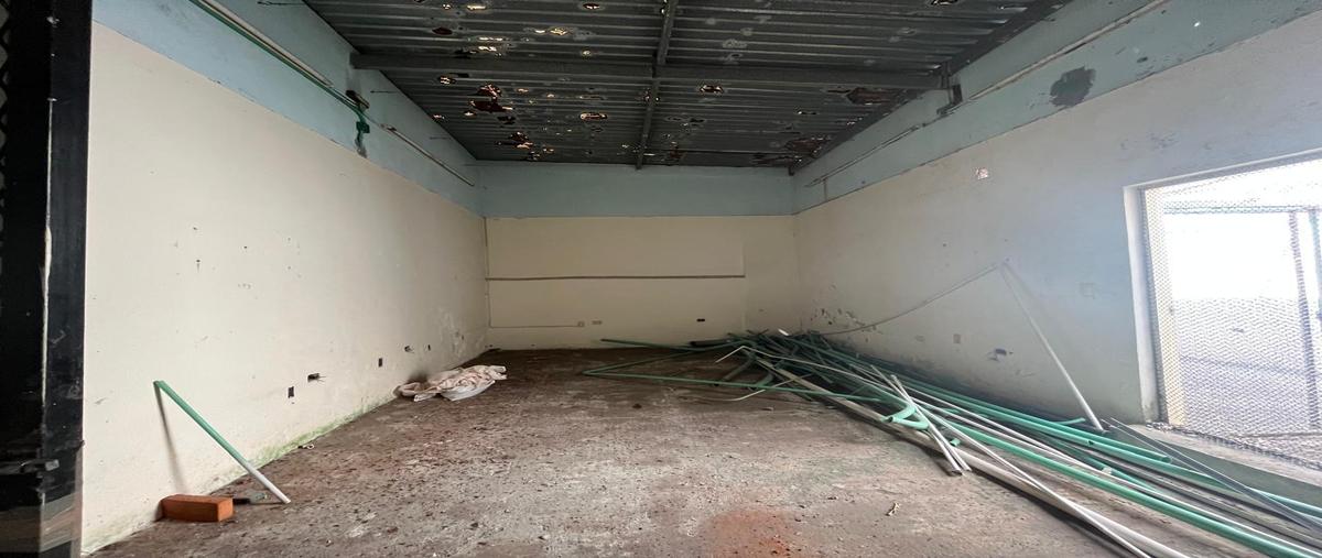 Foto de departamento en renta en  , veracruz centro, veracruz, veracruz de ignacio de la llave, 0 No. 05