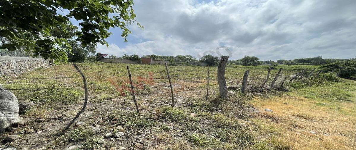 Foto de terreno habitacional en venta en veracruz , el rodeo, miacatlán, morelos, 0 No. 04