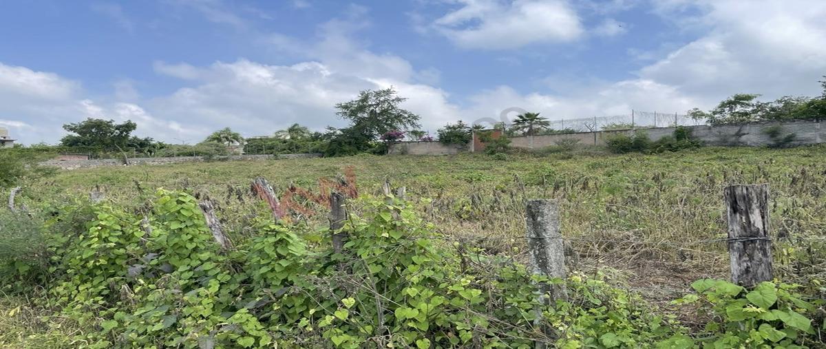 Foto de terreno habitacional en venta en veracruz , el rodeo, miacatlán, morelos, 0 No. 05