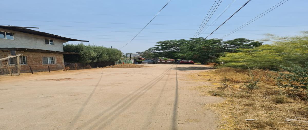 Foto de terreno habitacional en venta en veracruz , loma alta, tecate, baja california, 30248514 No. 02