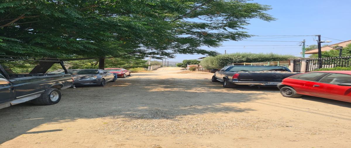 Foto de terreno habitacional en venta en veracruz , loma alta, tecate, baja california, 30248514 No. 03