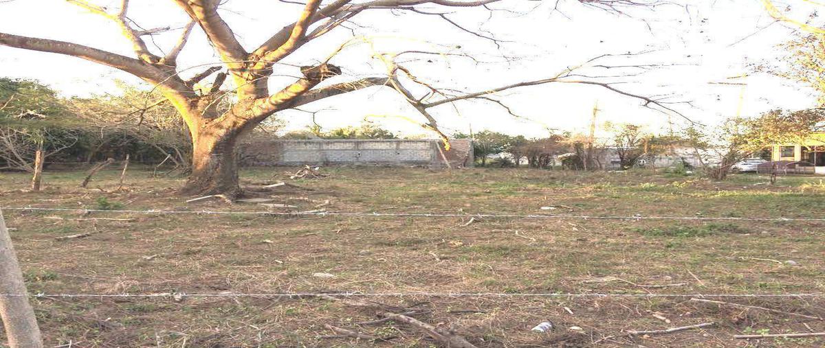 Foto de terreno habitacional en renta en veracruz , malibran de las brujas, veracruz, veracruz de ignacio de la llave, 0 No. 01
