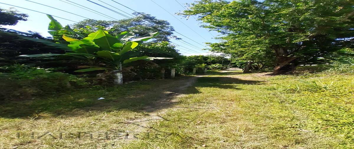 Foto de terreno habitacional en venta en veracruz , manlio fabio altamirano, tuxpan, veracruz de ignacio de la llave, 0 No. 03