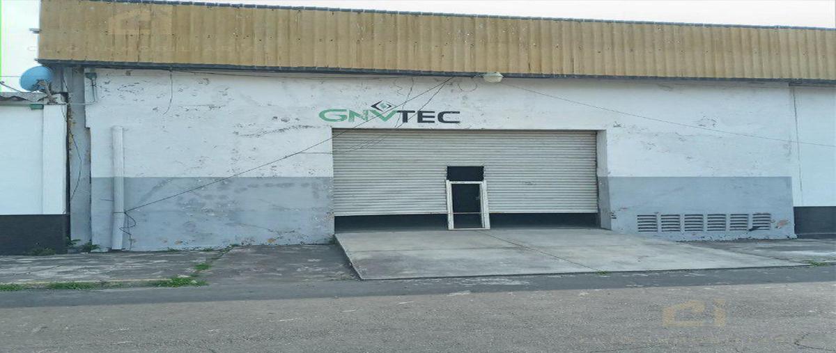 Foto de bodega en renta en  , veracruz, veracruz, veracruz de ignacio de la llave, 30166726 No. 03