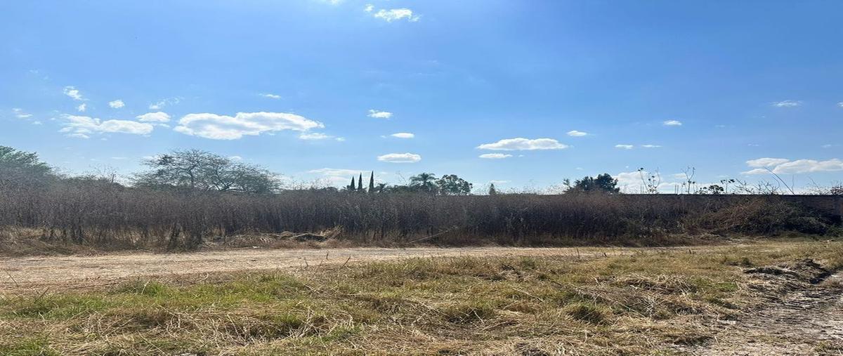 Foto de terreno habitacional en venta en vereda de los jazmines 63, los tapia, tlajomulco de zúñiga, jalisco, 0 No. 03