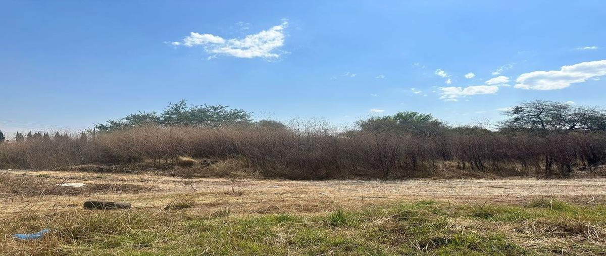 Foto de terreno habitacional en venta en vereda de los jazmines 63, los tapia, tlajomulco de zúñiga, jalisco, 0 No. 05