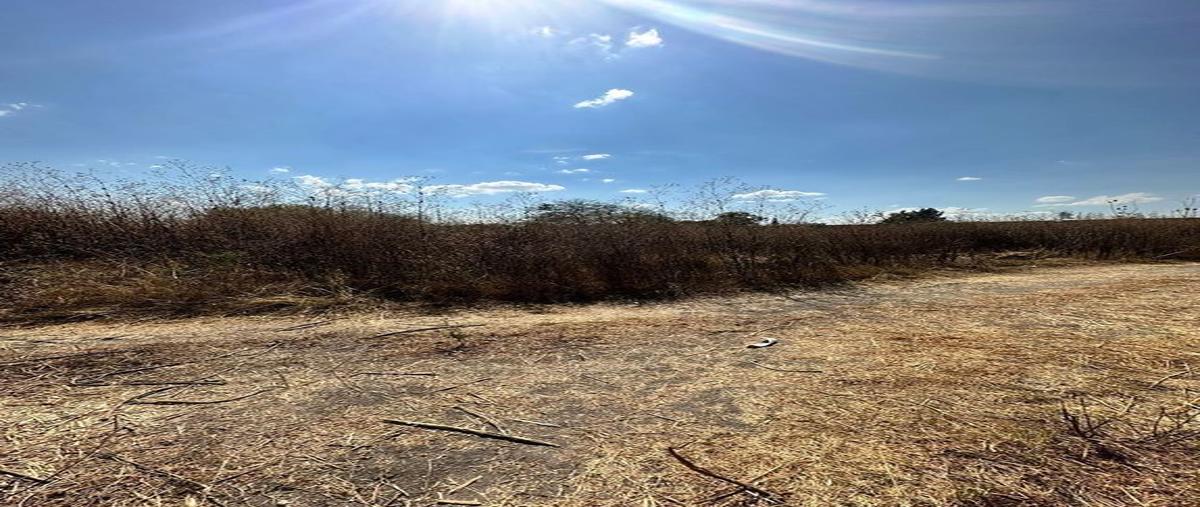 Foto de terreno habitacional en venta en vereda de los jazmines 63, los tapia, tlajomulco de zúñiga, jalisco, 0 No. 04