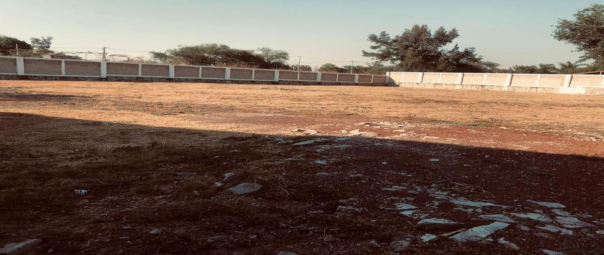 Foto de terreno comercial en renta en vereda de los jazmines , los sauces, tlajomulco de zúñiga, jalisco, 0 No. 05