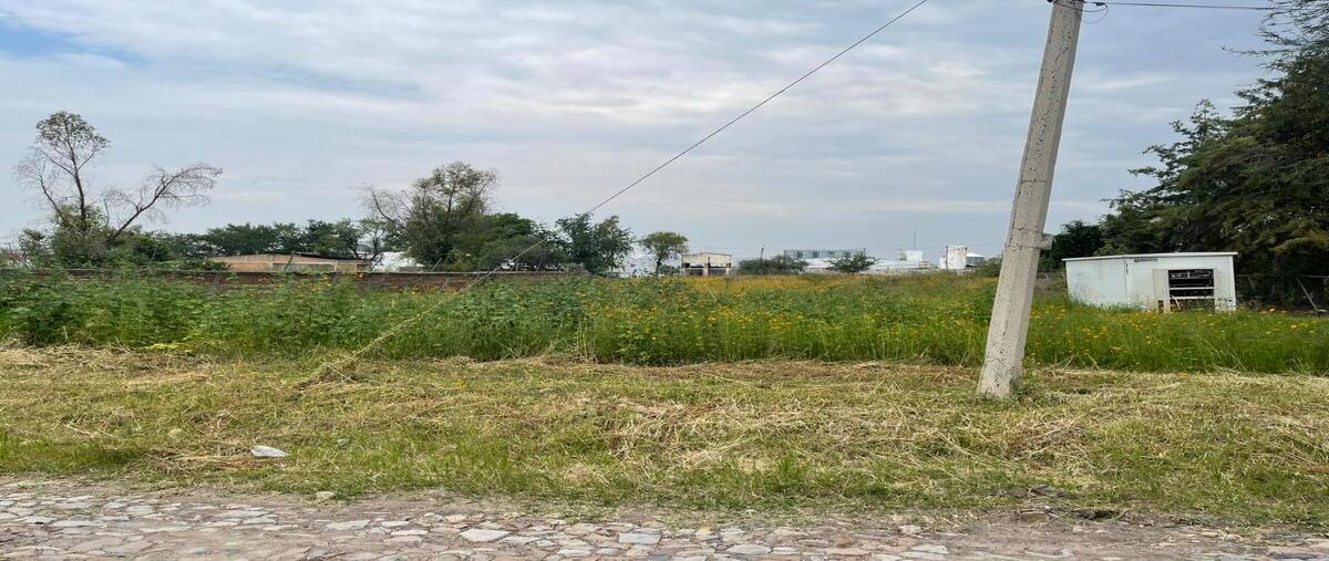 Foto de terreno habitacional en venta en vereda de los jazmines , los sauces, tlajomulco de zúñiga, jalisco, 30419066 No. 05