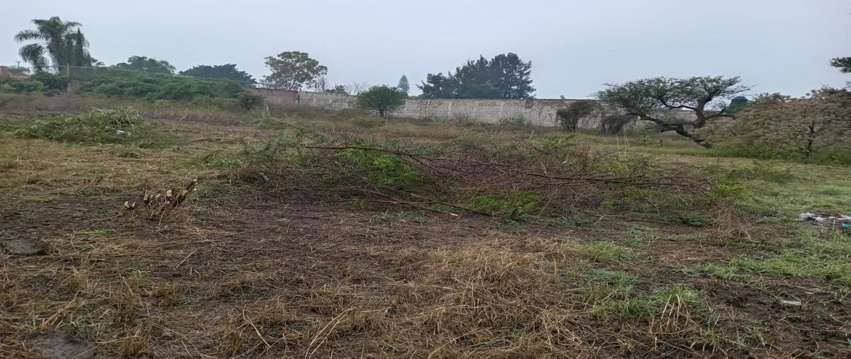 Foto de terreno habitacional en venta en vereda del jazmin , los sauces, tlajomulco de zúñiga, jalisco, 28955639 No. 04