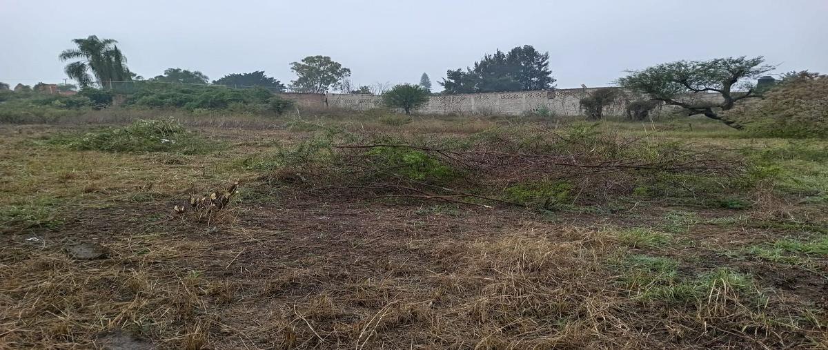Foto de terreno habitacional en venta en vereda del jazmin , los sauces, tlajomulco de zúñiga, jalisco, 0 No. 03