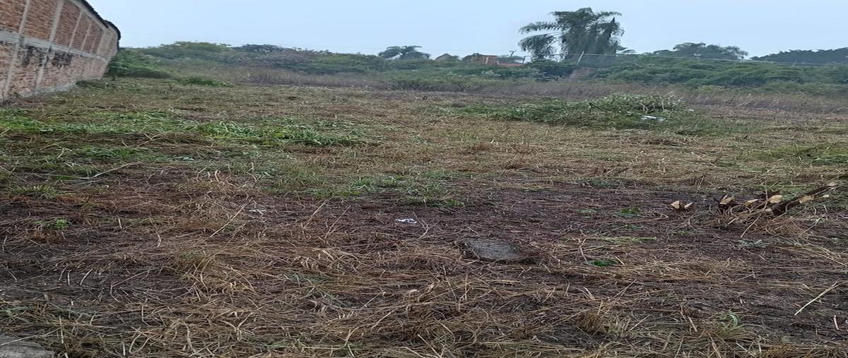 Foto de terreno habitacional en venta en vereda del jazmin , los sauces, tlajomulco de zúñiga, jalisco, 0 No. 05