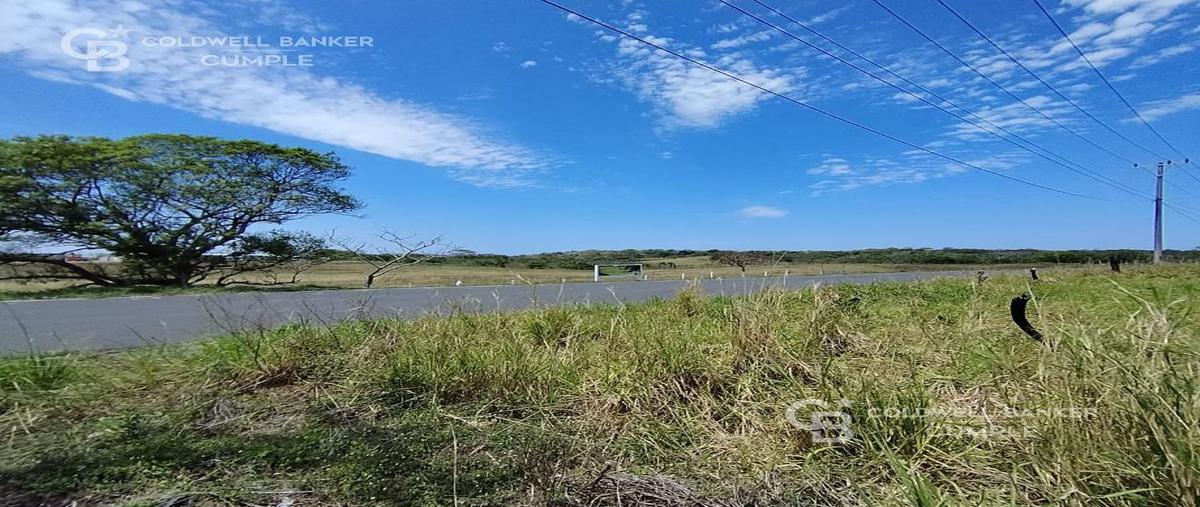 Foto de terreno comercial en venta en vereda ramal anton lizardo , el zapote, alvarado, veracruz de ignacio de la llave, 0 No. 03