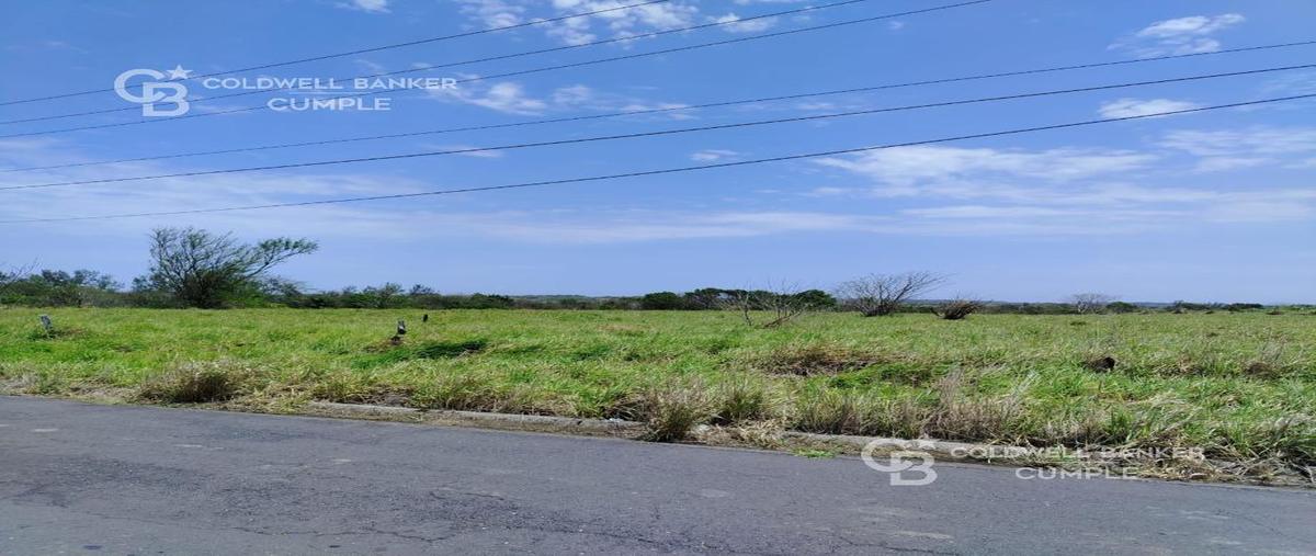 Foto de terreno comercial en venta en vereda ramal anton lizardo , el zapote, alvarado, veracruz de ignacio de la llave, 0 No. 04