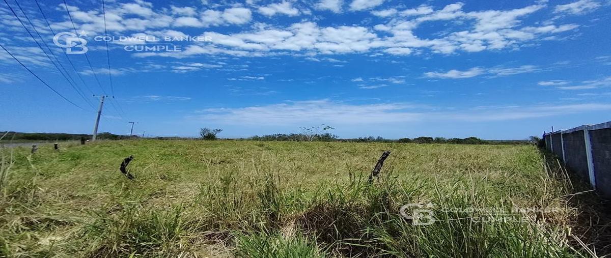 Foto de terreno comercial en venta en vereda ramal anton lizardo , el zapote, alvarado, veracruz de ignacio de la llave, 0 No. 05