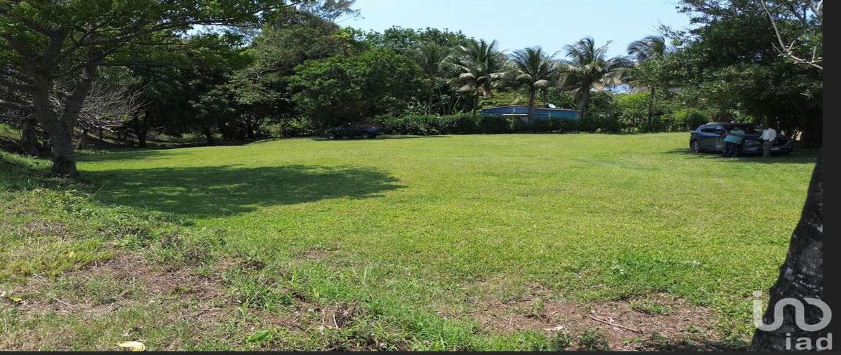 Foto de terreno comercial en vereda tropico 95, arroyo de liza, san andrés tuxtla, veracruz de ignacio de la llave, 31061382 foto 03 Foto de terreno comercial en venta en vereda tropico 95, arroyo de liza, san andrés tuxtla, veracruz de ignacio de la llave, 31061382 No. 03