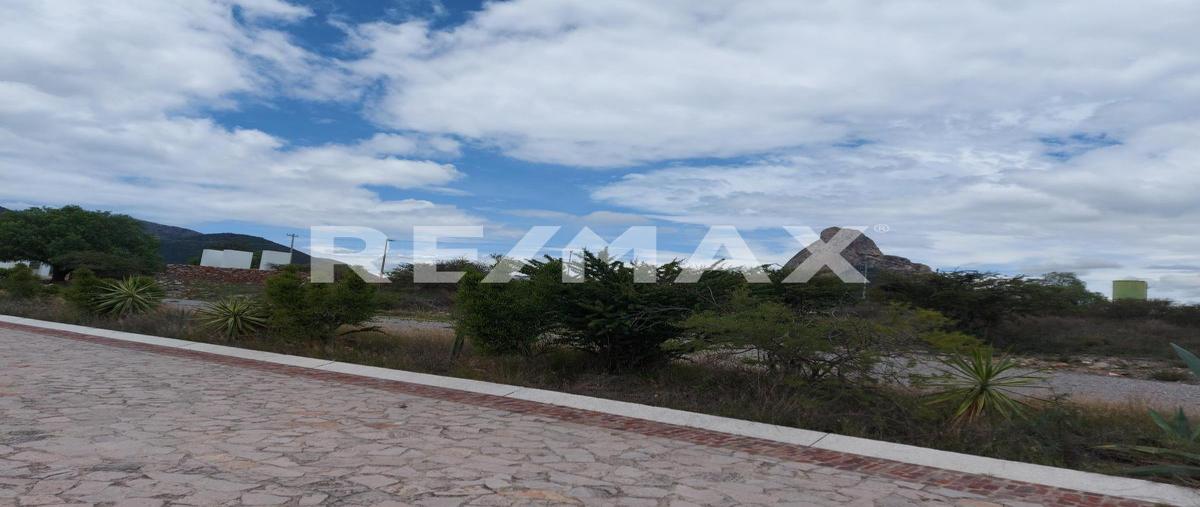 Foto de terreno habitacional en venta en vergel de la peña , bernal, ezequiel montes, querétaro, 0 No. 04